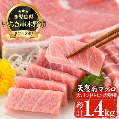 天然南マグロ贅沢三昧　大トロ～赤身　約1.4kg