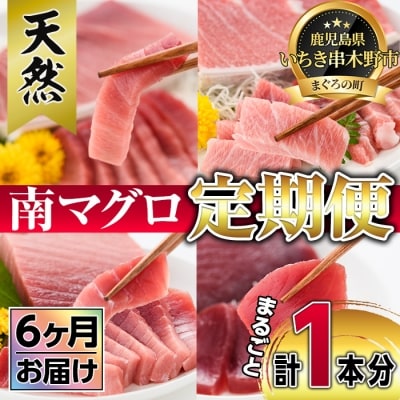 【定期便6回(毎月)】南マグロ丸ごと1本分 大トロから赤身まで4kg～6kgほどを揃えた贅沢セット