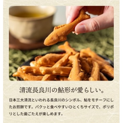 S11-03 孫六煎餅(詰め合わせ)