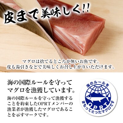 【定期便6回(毎月)】 南マグロ大トロ、中トロ、赤身合計8本を半年間毎月送付 