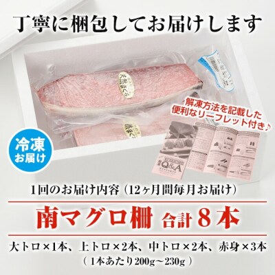 【定期便12回(毎月)】 南マグロ大トロ、中トロ、赤身合計8本を1年間毎月送付