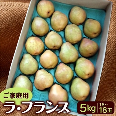 西洋梨(ラ・フランス)5kg　16～18玉　ご家庭用　0042-2608