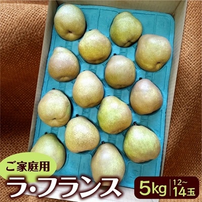 西洋梨(ラ・フランス)5kg　12～14玉　ご家庭用　0042-2609