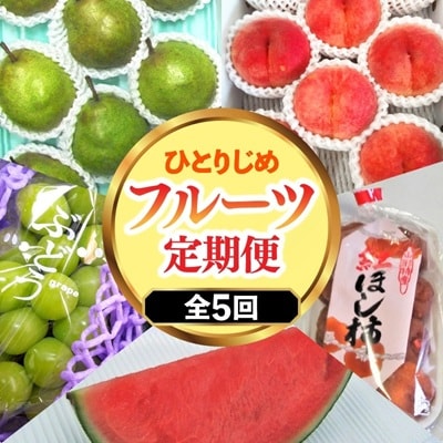 【定期便:全5回】ひとりじめフルーツセット　3000-2603