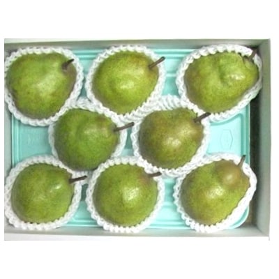 【定期便:全5回】ひとりじめフルーツセット　3000-2603