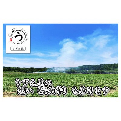 贅沢満腹セット(安納芋:干し芋)計10袋