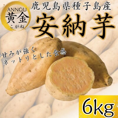 【期間限定】種子島産安納黄金6kg　うずえ屋