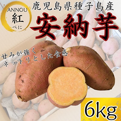 【期間限定】種子島産安納芋紅6kg　うずえ屋