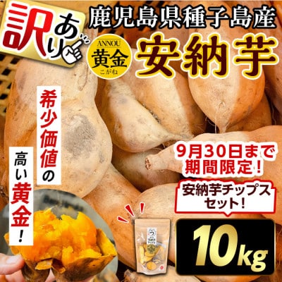 【期間限定】【訳あり】種子島産安納黄金いも10kg2S～2LMIX 安納芋チップス1パックセット