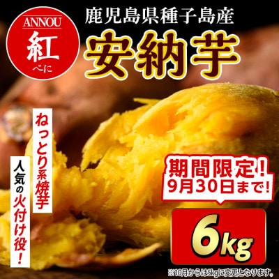 【期間限定】種子島産安納紅いも6kg Sサイズ