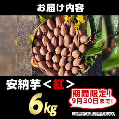 【期間限定】種子島産安納紅いも6kg Sサイズ