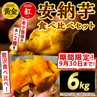 【期間限定】種子島安納黄金・紅いも食べ比べ6kg Sサイズ