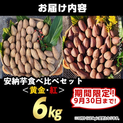 【期間限定】種子島安納黄金・紅いも食べ比べ6kg Sサイズ