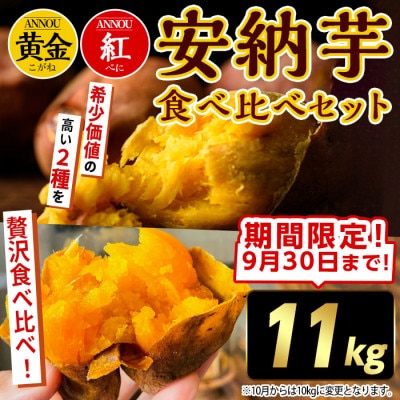【期間限定】種子島安納黄金・紅いも食べ比べ11kg Sサイズ
