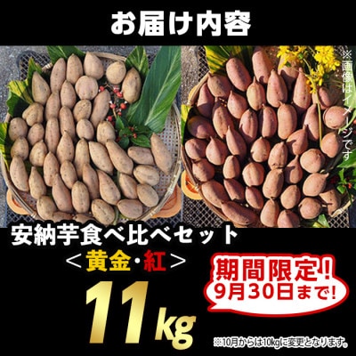 【期間限定】種子島安納黄金・紅いも食べ比べ11kg Sサイズ