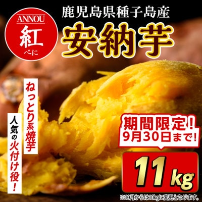 【期間限定】種子島産安納紅いも11kg Sサイズ