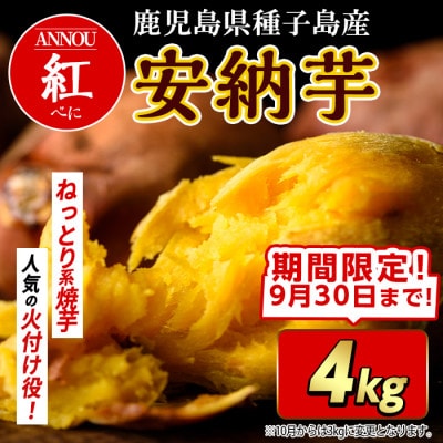 【期間限定】種子島産安納紅いも4kg Sサイズ