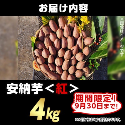 【期間限定】種子島産安納紅いも4kg Sサイズ