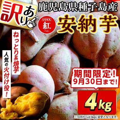 【期間限定】【訳あり】種子島産安納紅いも 4kg 2S～2LMIX