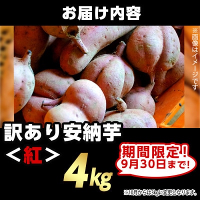 【期間限定】【訳あり】種子島産安納紅いも 4kg 2S～2LMIX