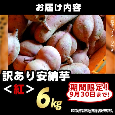 【期間限定】【訳あり】種子島産安納紅いも 6kg 2S～2LMIX