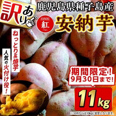 【期間限定】【訳あり】種子島産安納紅いも11kg 2S～2LMIX
