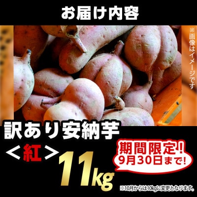 【期間限定】【訳あり】種子島産安納紅いも11kg 2S～2LMIX