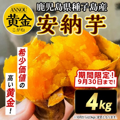 【期間限定】種子島産安納黄金いも4kg Sサイズ