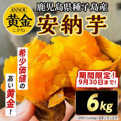 【期間限定】種子島産安納黄金いも6kg Sサイズ
