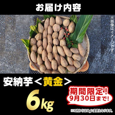 【期間限定】種子島産安納黄金いも6kg Sサイズ