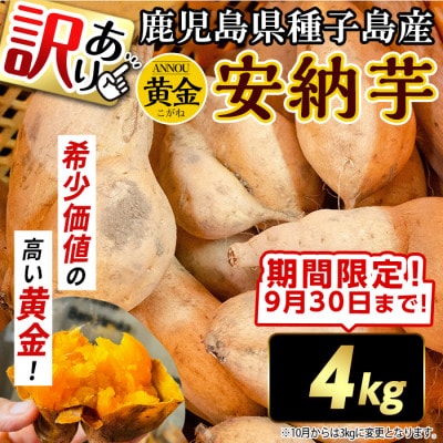 【期間限定】【訳あり】種子島産安納黄金いも4kg2S～2LMIX