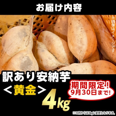 【期間限定】【訳あり】種子島産安納黄金いも4kg2S～2LMIX
