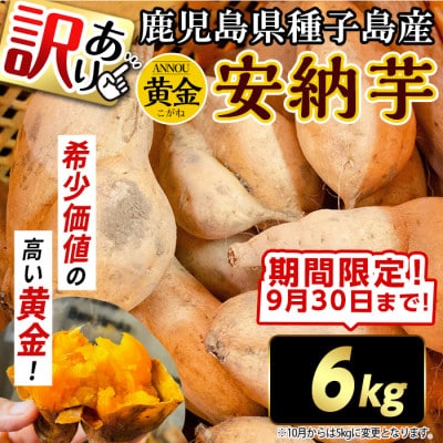 【期間限定】【訳あり】種子島産安納黄金いも6kg2S～2L MIX