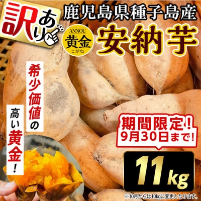 【期間限定】【訳あり】種子島産安納黄金いも11kg2S～2LMIX