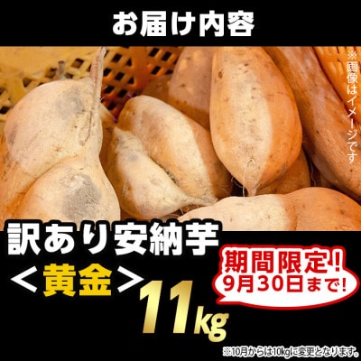 【期間限定】【訳あり】種子島産安納黄金いも11kg2S～2LMIX