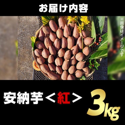 種子島産安納紅いも3kg Sサイズ
