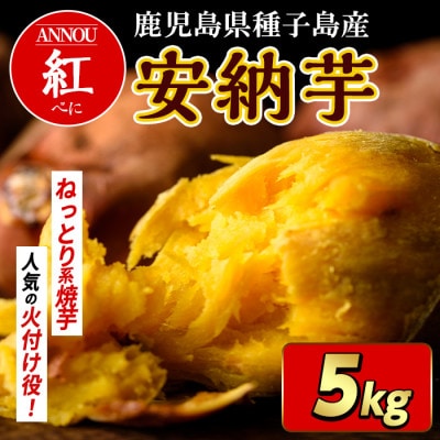 種子島産安納紅いも5kg Sサイズ