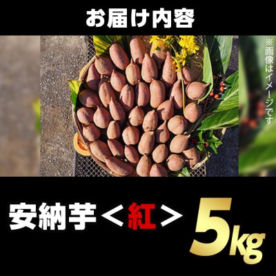 種子島産安納紅いも5kg Sサイズ