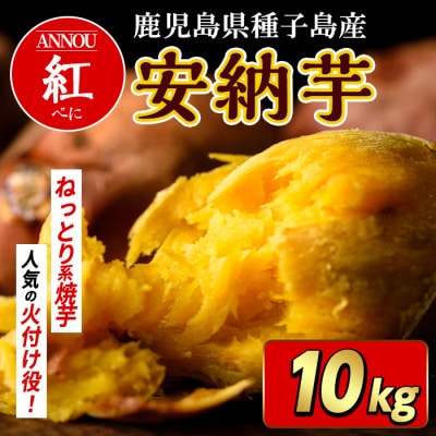 種子島産安納紅いも10kg Sサイズ