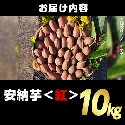 種子島産安納紅いも10kg Sサイズ