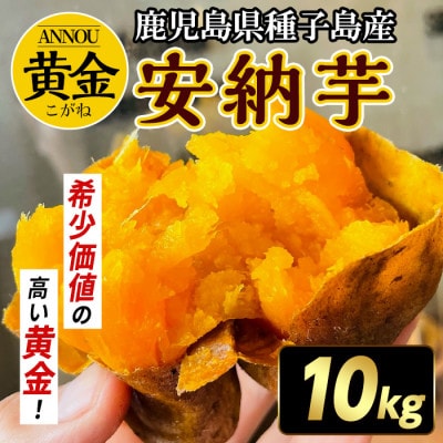 種子島産安納黄金いも10kg Sサイズ