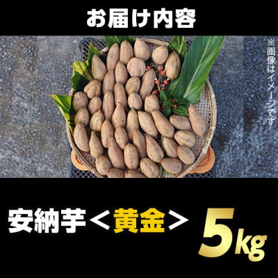 種子島産安納黄金いも5kg Sサイズ