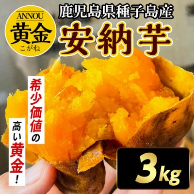 種子島産安納黄金いも3kg Sサイズ