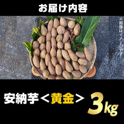 種子島産安納黄金いも3kg Sサイズ