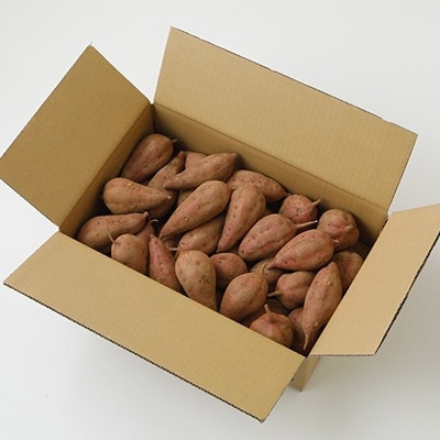 安納いも(10kg) / 種扇糖(300g×2)