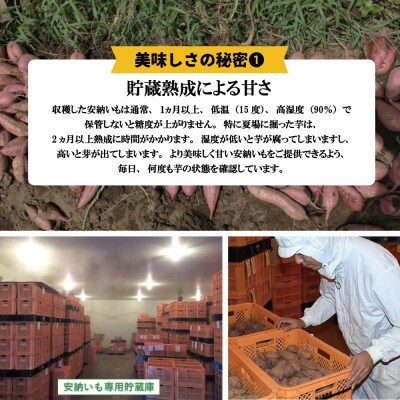 種子島産安納芋とお砂糖のセット「安納芋(10kg)」「種扇糖(300g×2袋)」
