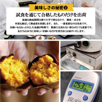 種子島産安納芋とお砂糖のセット「安納芋(10kg)」「種扇糖(300g×2袋)」
