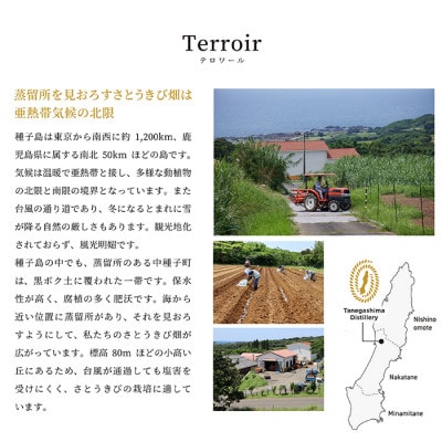 ホワイトラム酒　ARCABUZ BLANC NATURAL STRENGTH