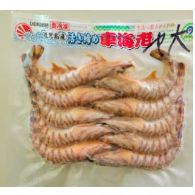 活き〆冷凍車海老 ソフトシェル大 300g×1パック(10～16尾入り)