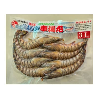 活き〆冷凍車海老 ソフトシェル3L 300g×1パック(5～9尾入り)